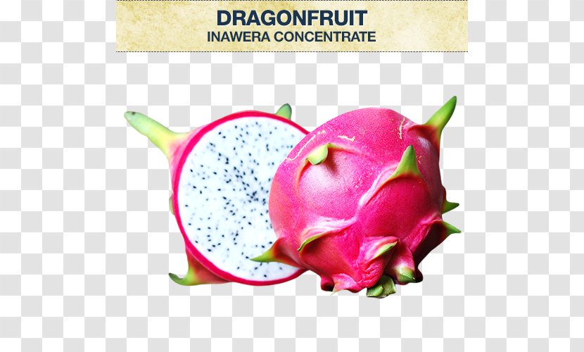 Juice Pitaya Fruit Flavor - Concentrate - Rouge Transparent PNG