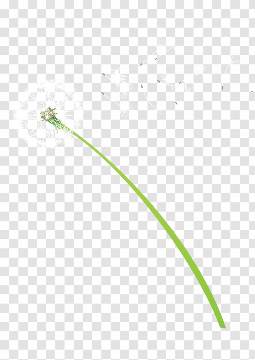 Line Angle Point Pattern - Green - Dandelion Transparent PNG