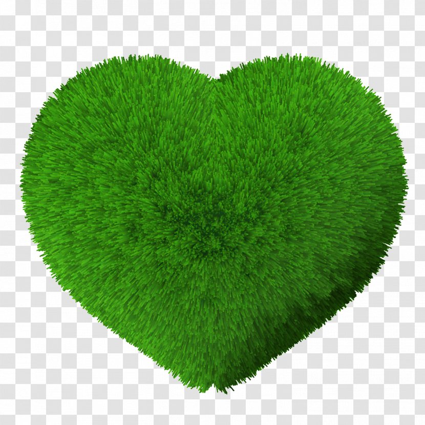 Lawn Grass Green Vegetation - Designer - Love Transparent PNG