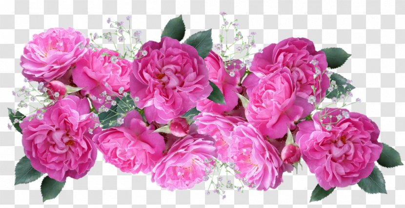 Garden Roses Flower Bouquet Wedding Floral Design - Centifolia Transparent PNG