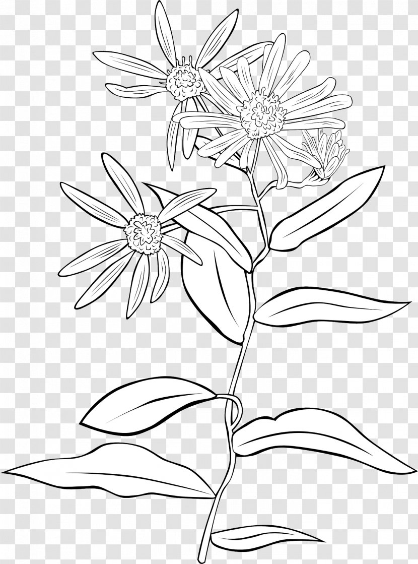 Shrubs & Trees Garden Plant Clip Art - Area - A Wild Chrysanthemum Transparent PNG