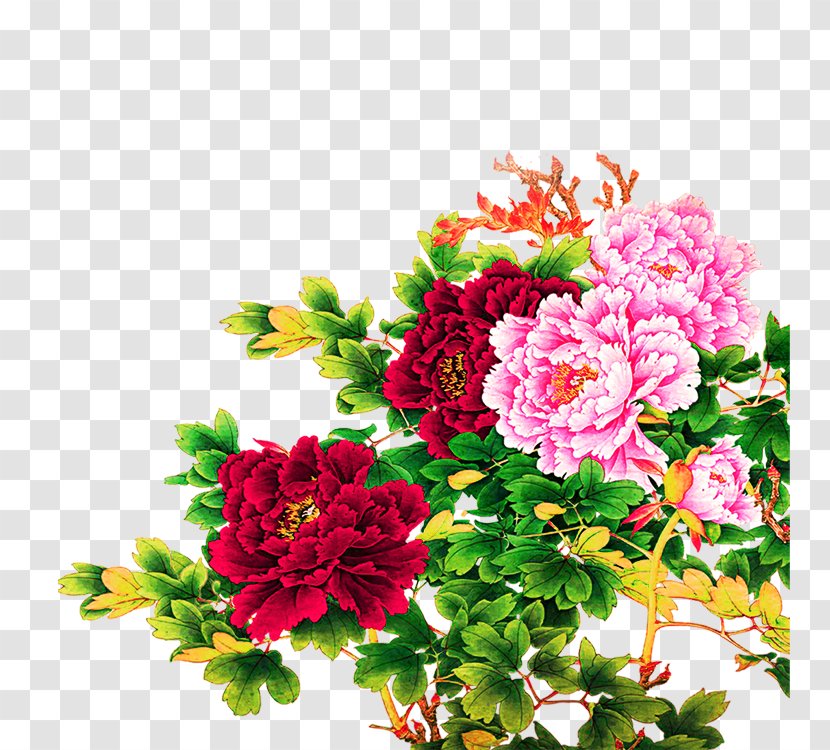 Moutan Peony Illustration - Painting - Chinese Transparent PNG