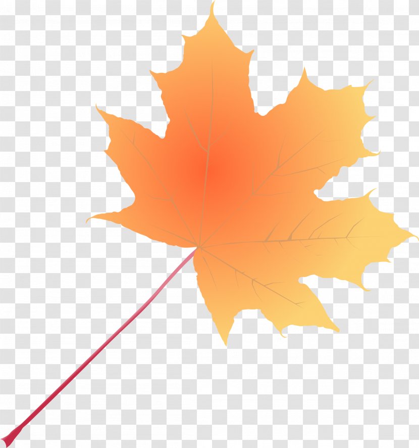 Maple Leaf Desktop Wallpaper Clip Art - Flowering Plant - Antumn Leaves Gradient Color Transparent PNG