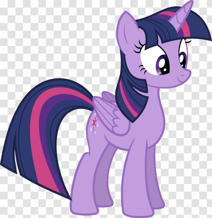 Twilight Sparkle Rainbow Dash Pony Spike Rarity - Horse Like Mammal - And Homecoming Transparent PNG
