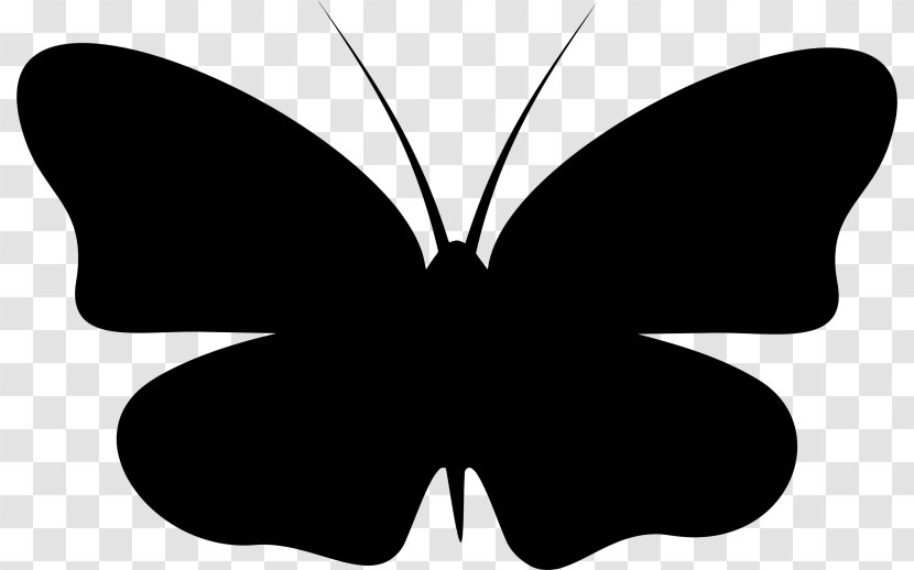 Monarch Butterfly Silhouette Clip Art - Moths And Butterflies Transparent PNG