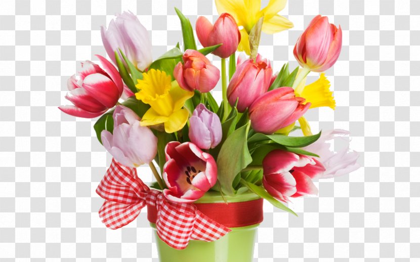 Stock Photography Image Tulip Royalty-free Flower - Royaltyfree Transparent PNG