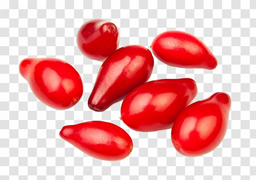 Red Tomato Berry - Nightshade Family - Fresh Fruit Women Transparent PNG
