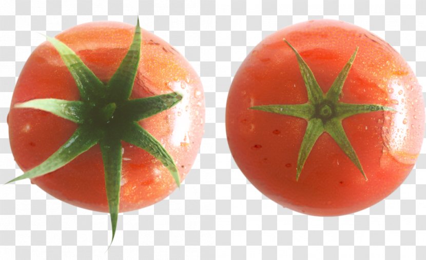 Tomato Cartoon - Vegetarian Food Nightshade Family Transparent PNG