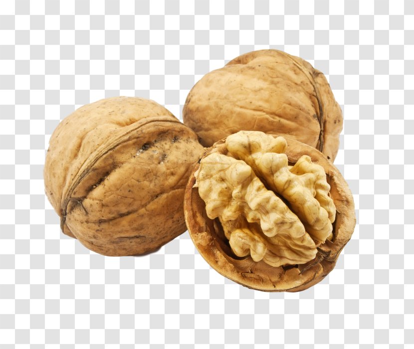 English Walnut - Ingredient Transparent PNG