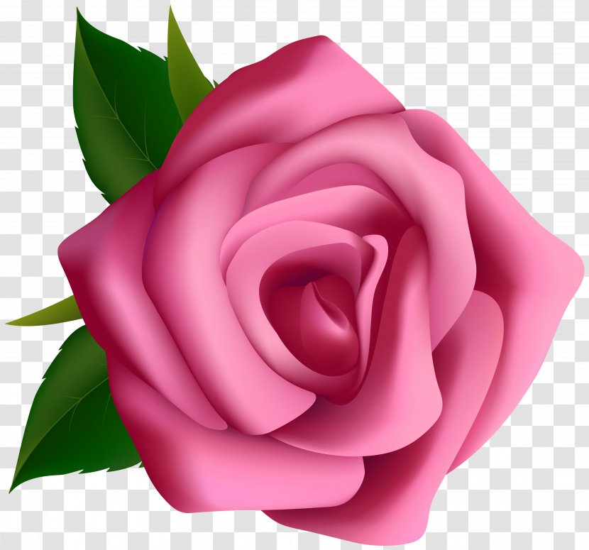 Rose Clip Art - Pink Flowers Transparent PNG