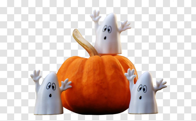 Halloween 31 October Jack-o'-lantern 0 Ghost - Children's Parad Transparent PNG