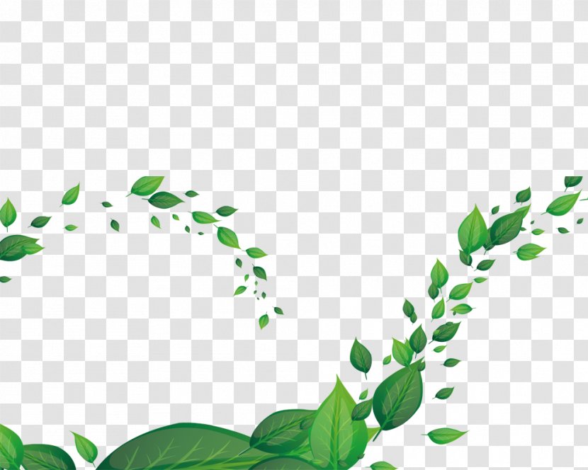 CLABER SpA Business - Leaf - The Wind Blows Leaves Transparent PNG
