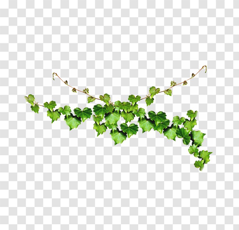 Jewellery Jewelry Making Body - Branch Transparent PNG