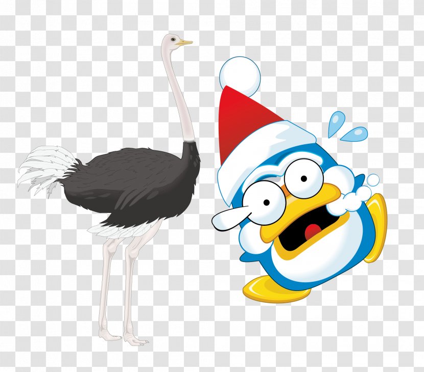 Christmas Cartoon Clip Art - Vertebrate - Vector Ostrich Transparent PNG