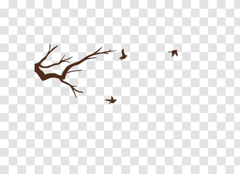 Bird Migration Beak Wing Line - Persimmon Tree Transparent PNG