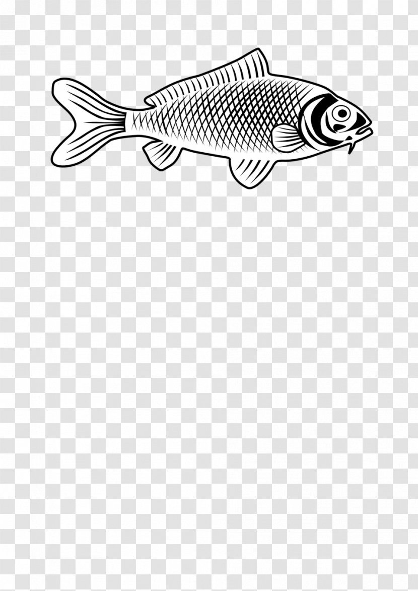 Drawing Line Art Fishing Clip Transparent PNG