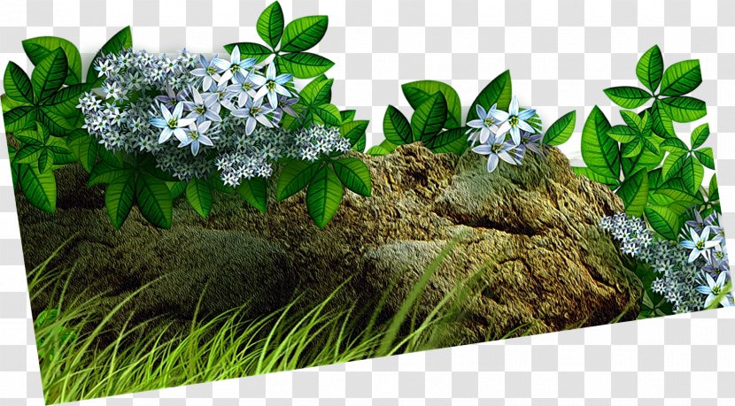 Flowerpot Plant Tree - Grass - Rock Transparent PNG