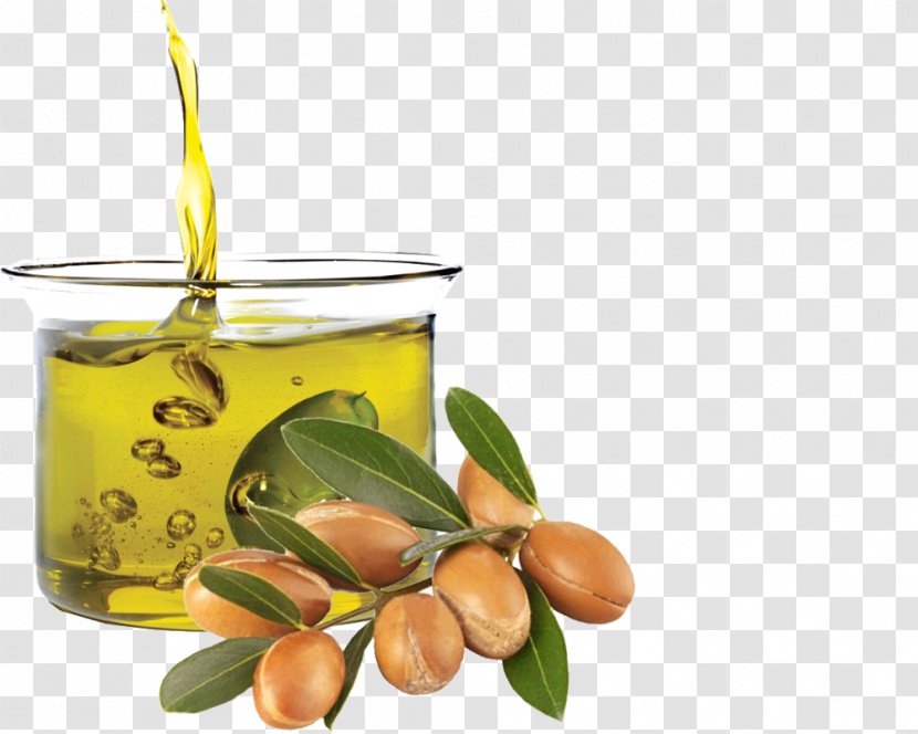 Argan Oil Moisturizer Jojoba Hair Conditioner Olive - Brittlegill Transparent PNG