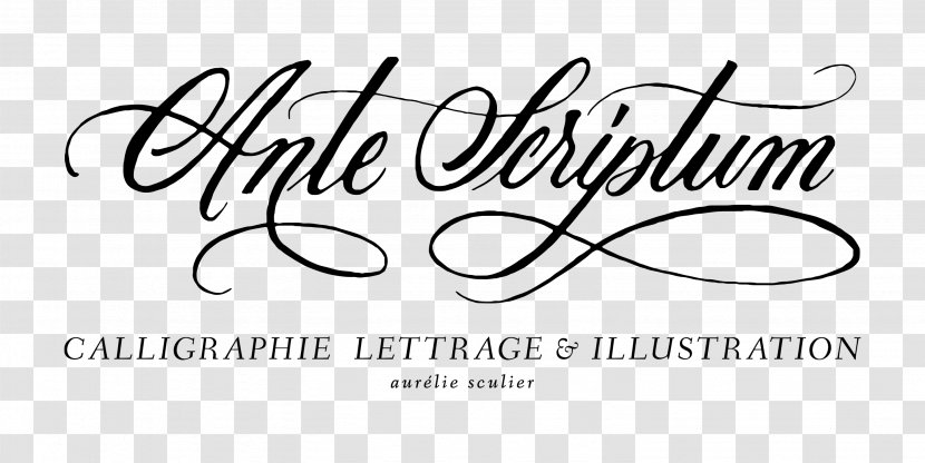 Logo Calligraphy Handwriting Brand Font - Paper - Y Alphabet Transparent PNG