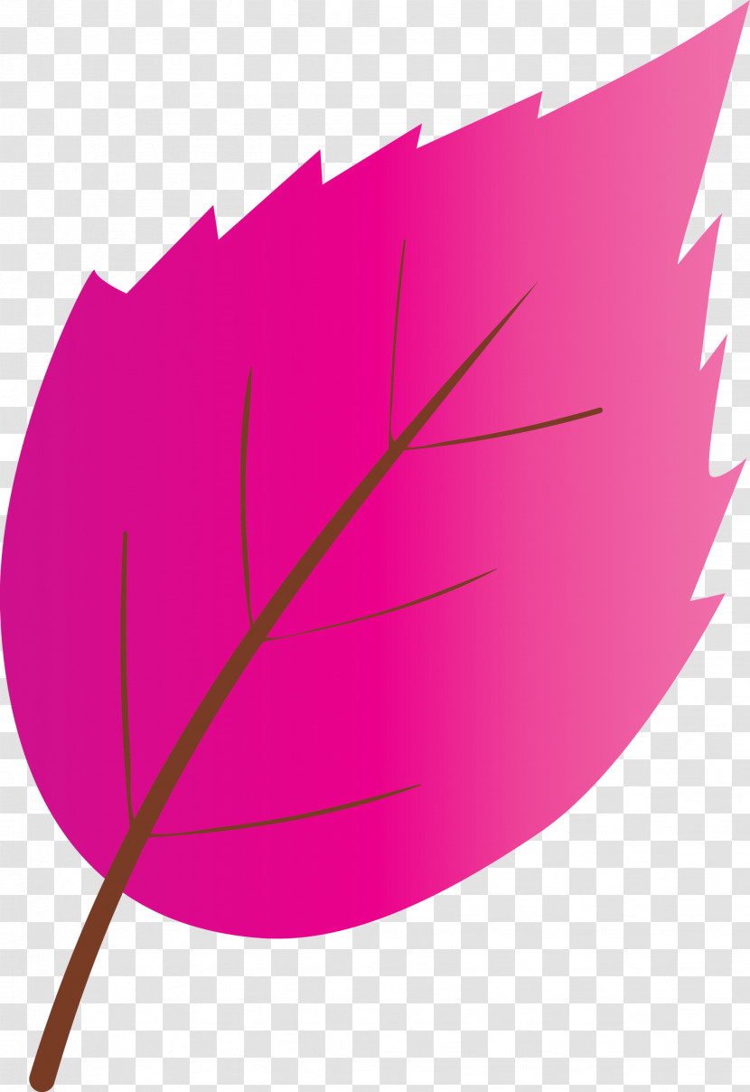 Leaf Pink Magenta Plant Tree Transparent PNG