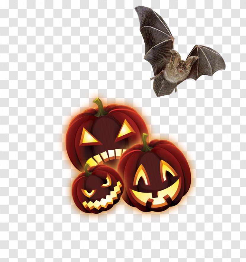 Calabaza Halloween Jack-o-lantern - Animation - Pumpkins Bats Transparent PNG