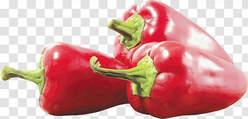 Vegetable Cartoon - Chili Pepper - Ingredient Poblano Transparent PNG