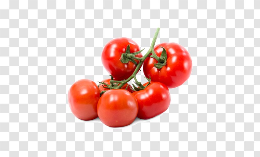 Plum Tomato Bush Vegetarian Cuisine Food Transparent PNG