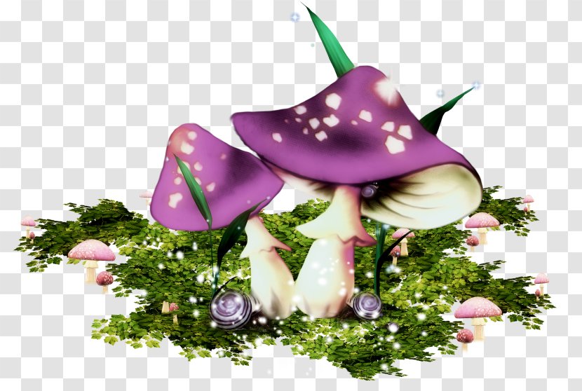 Mushroom Clip Art - Floral Design Transparent PNG