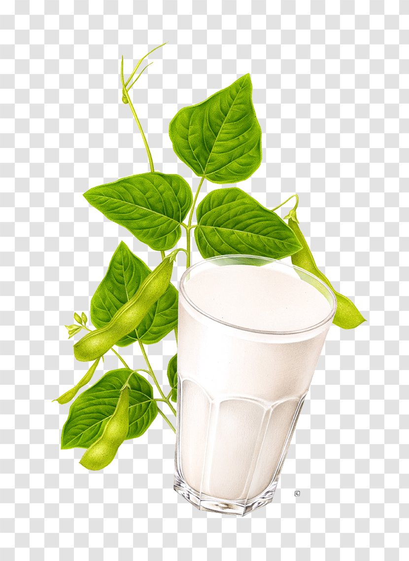 Milkshake Soy Milk Health Shake Nectar - Vegetable - Milk, Green Leaf Material Lentils Transparent PNG