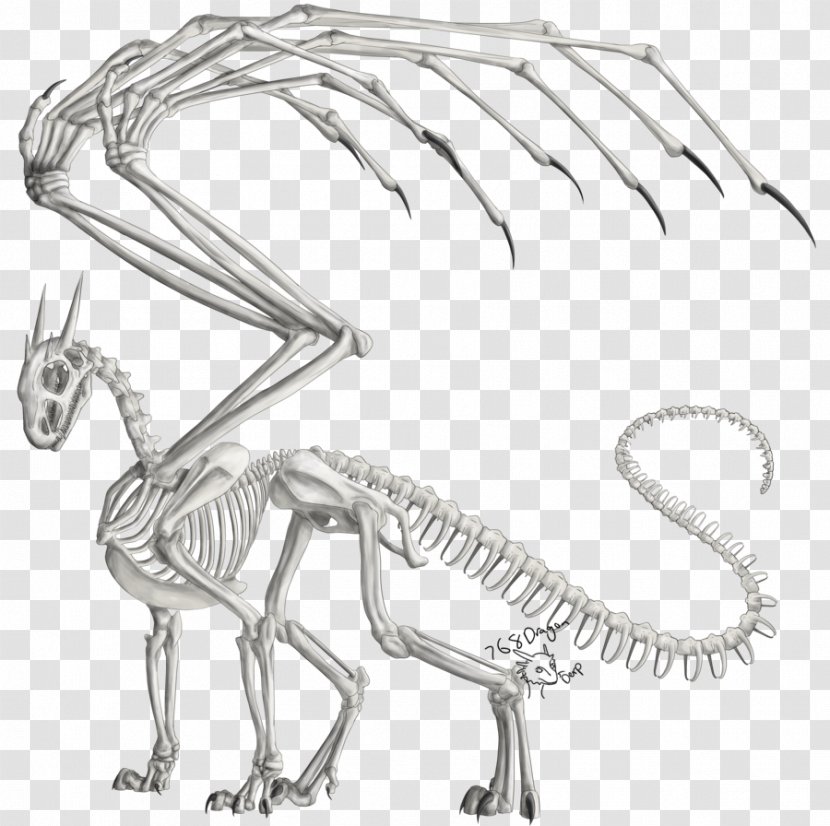 Dragon Human Skeleton Drawing Anatomy Transparent PNG
