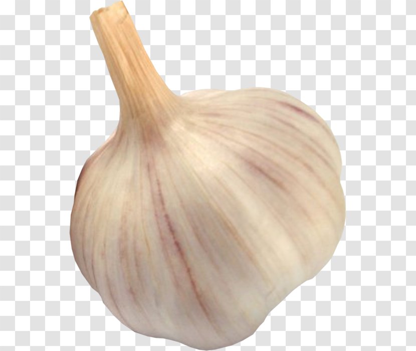 Garlic Dandan Noodles Onion - Vegetable Transparent PNG