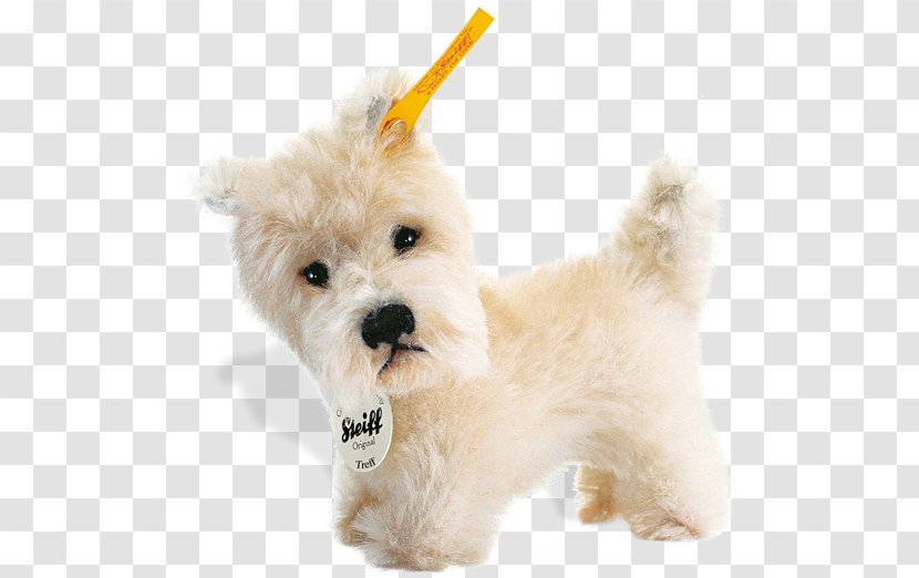 West Highland White Terrier Maltese Dog Havanese Goldendoodle Schnoodle - Puppy Transparent PNG