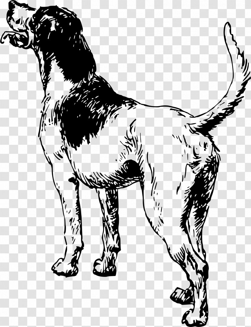 Dog Breed Sporting Group Spaniel Clip Art - Carnivoran Transparent PNG