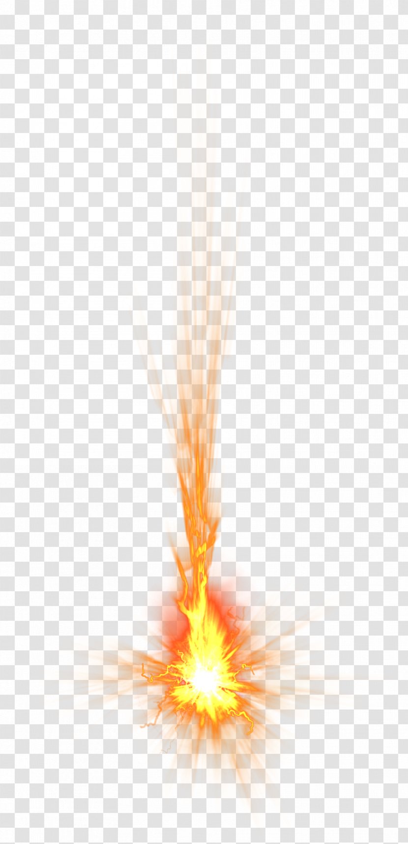 Close-up - Wing - Fire Transparent PNG