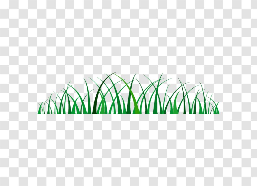 Grass Illustration Weed Vector Graphics - Green Transparent PNG