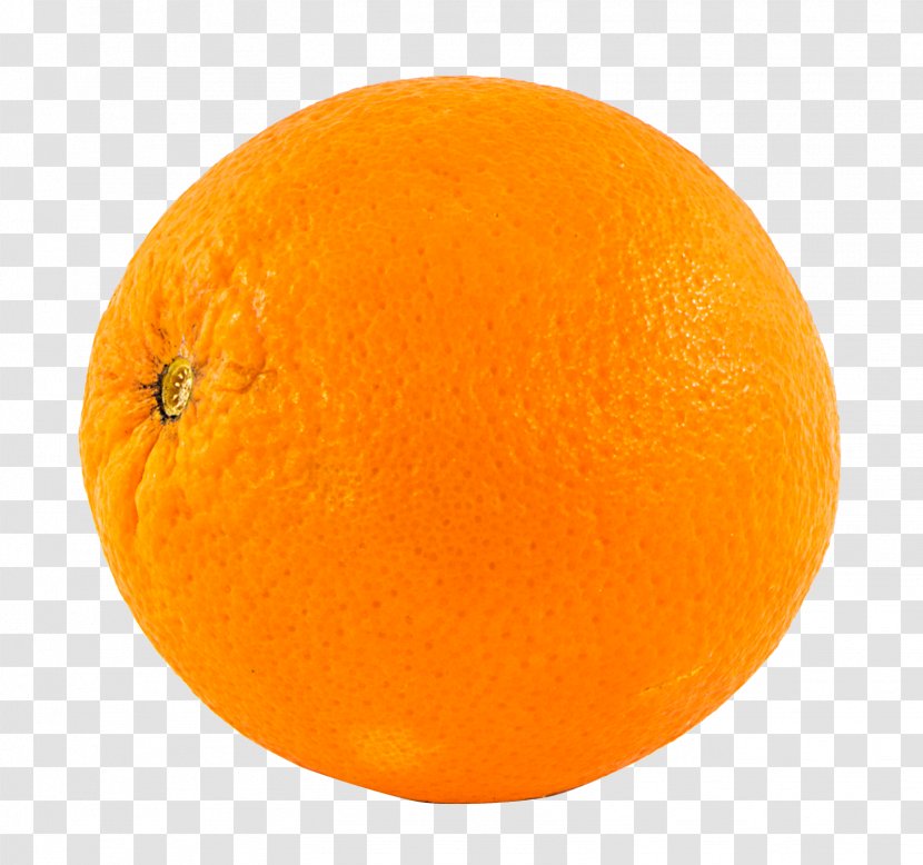 Blood Orange Lemon Mandarin Tangerine - Tangelo - Clementine Transparent PNG