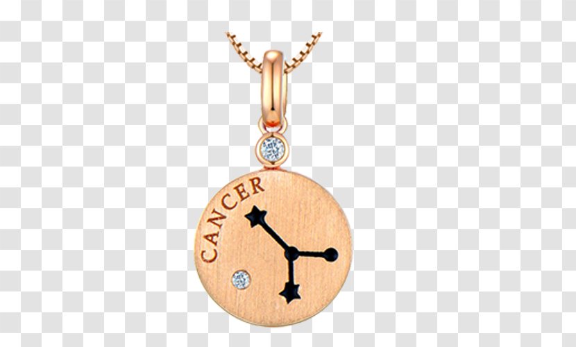 Giraffe Wood Brown Jewellery Pattern - Necklace Transparent PNG