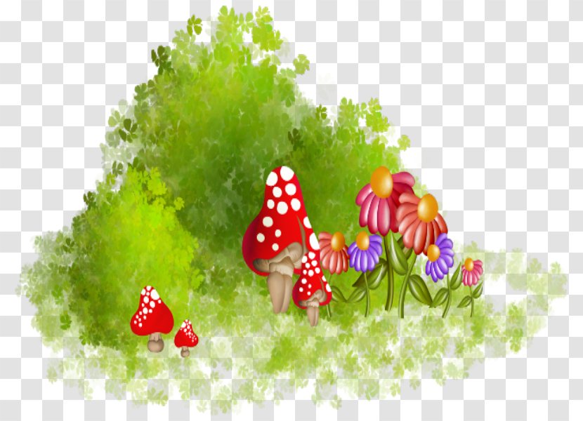 Flower Mushroom Color - Organism - Grass Transparent PNG