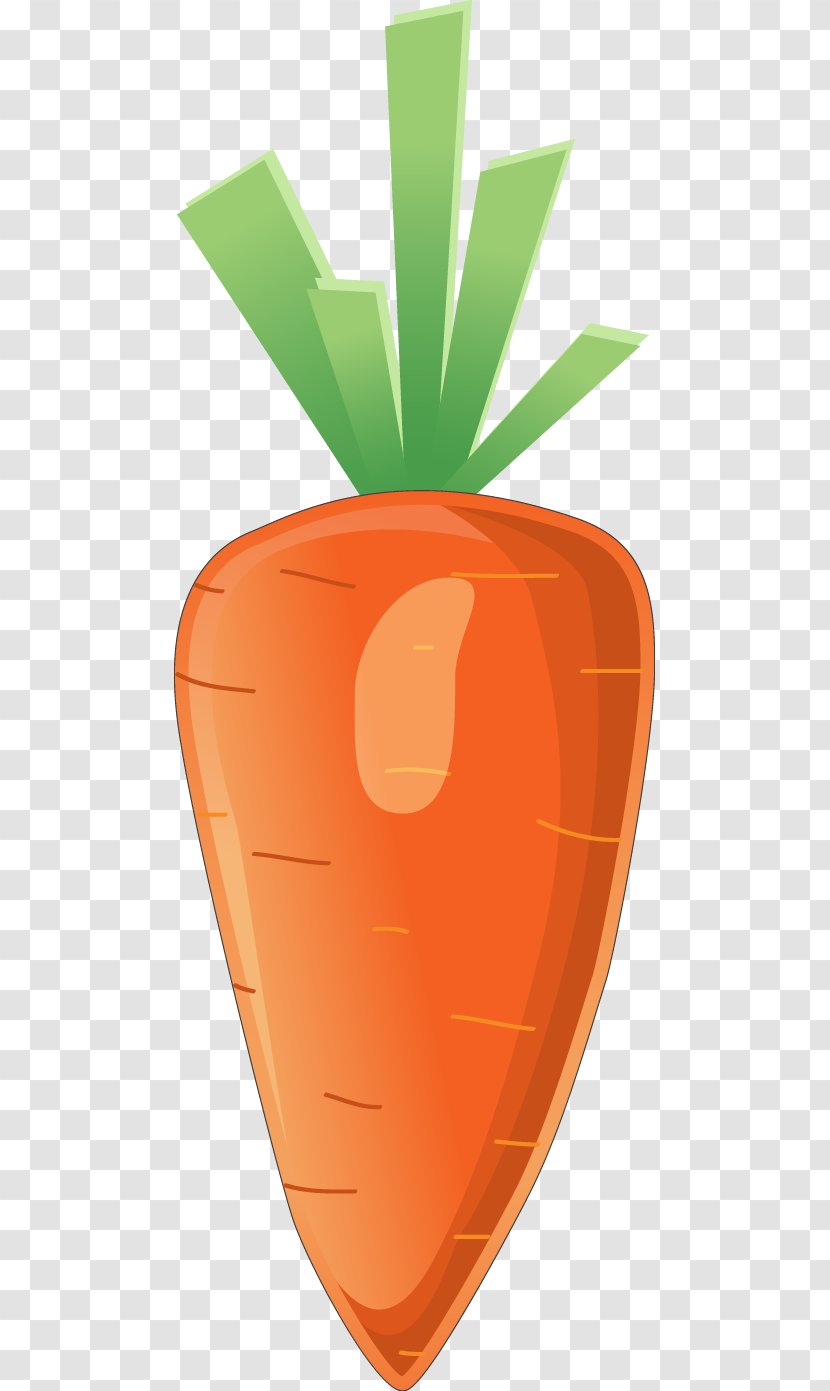 Carrot Euclidean Vector Computer File Transparent PNG