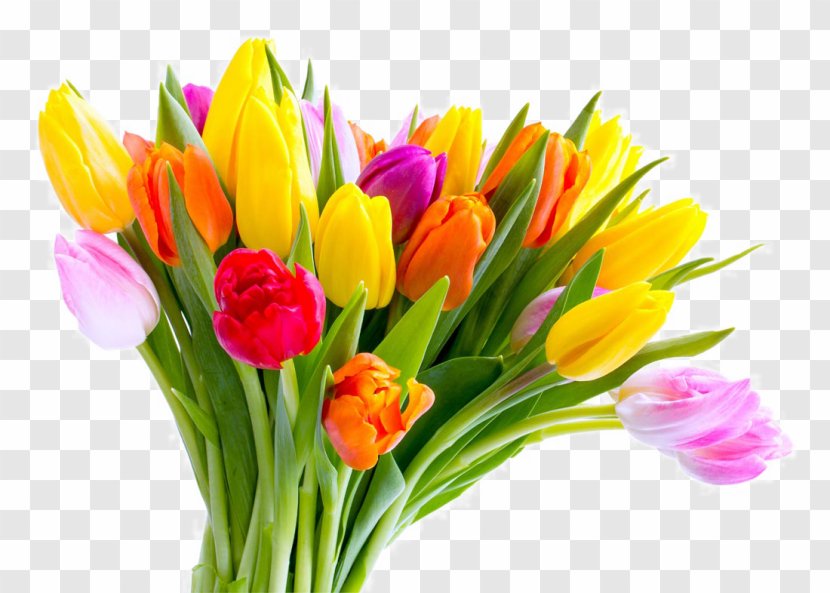 Anniversary Wedding Valentines Day Birthday - Beautiful Tulip Flowers Transparent PNG