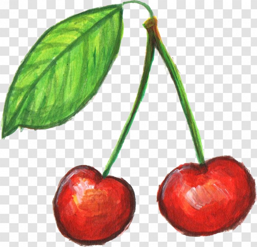 Cherry Food Accessory Fruit - Pitaya Transparent PNG