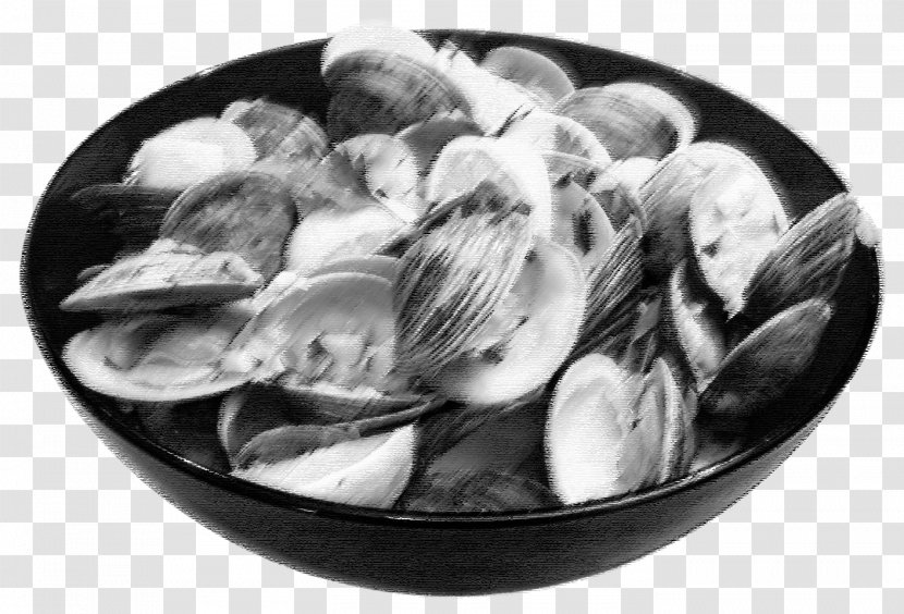 Steamed Clams Mussel Clam Sauce Chowder - Platter - Cooking Transparent PNG
