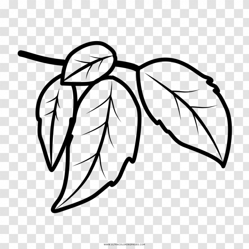 Coloring Book Drawing Leaf Tree - Flower Transparent PNG