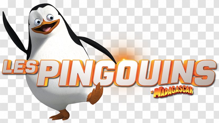 Penguin Kowalski Skipper - Macaroni Transparent PNG