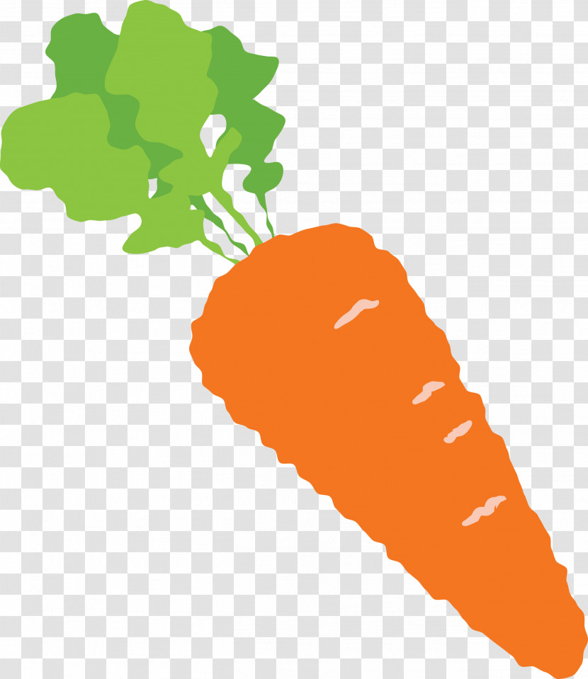 Carrot Transparent PNG