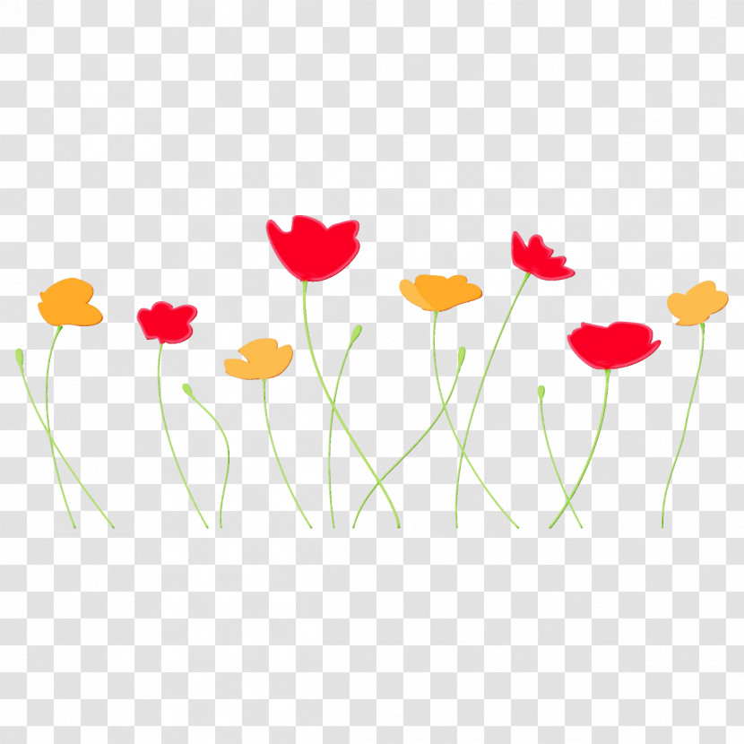 Flower Coquelicot Plant Plant Stem Corn Poppy Transparent PNG