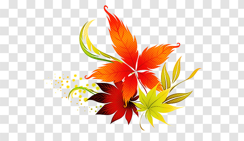 Floral Design Transparent PNG