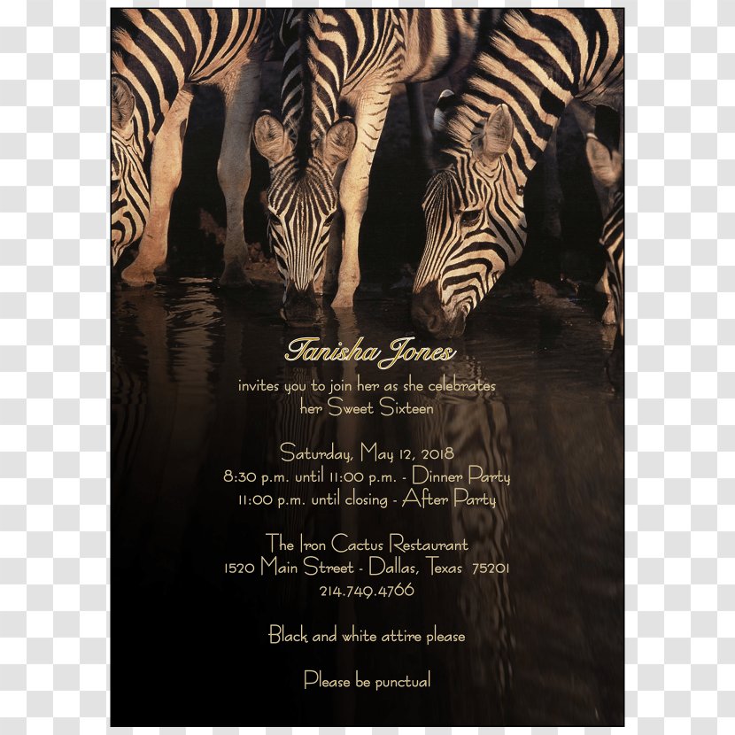 Wedding Invitation Party Sweet Sixteen Mammal - Polio Vaccine Transparent PNG