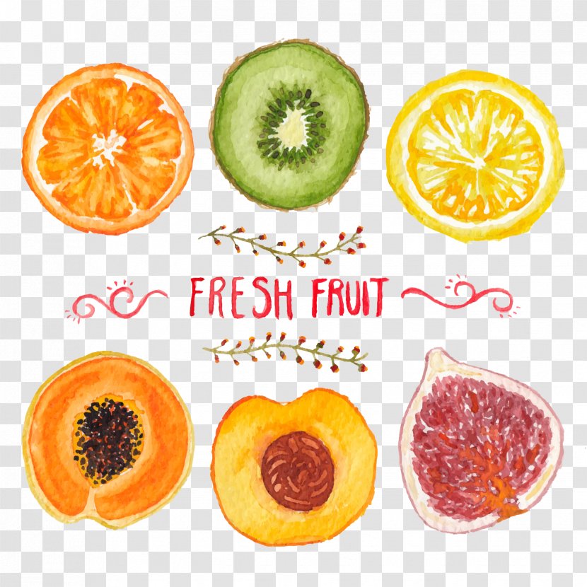 Fruit Orange Vegetarian Cuisine Clip Art Juice - Food - Bizarre Icon Transparent PNG