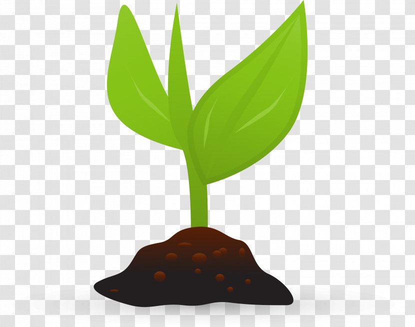 .se Cartoon .com - Minute - Plant Growth Transparent PNG